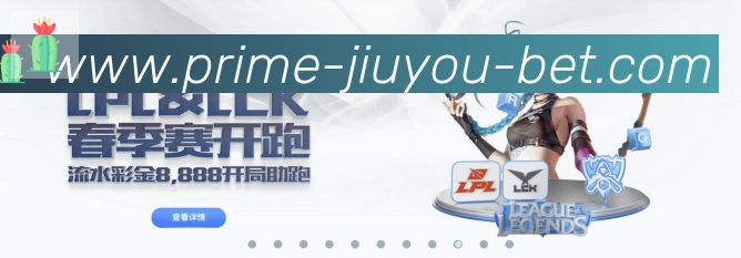 奖项证书